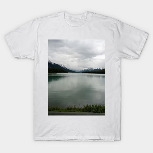 Canadian Lake View Under Clouds T-Shirt by PLANTONE